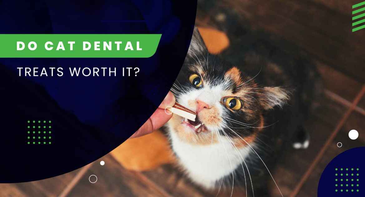 Do Cat Dental Treats Worth It?