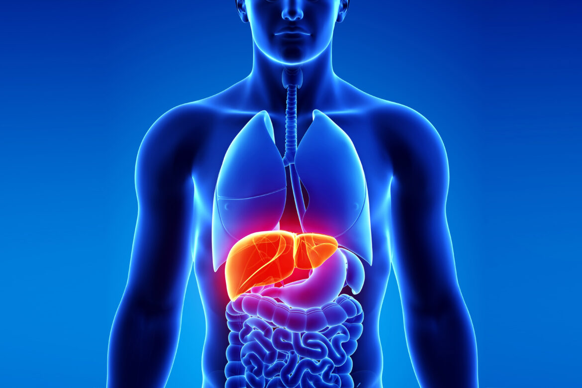 What You Need to Know About Liver Diseases for a Healthy Lifestyle
