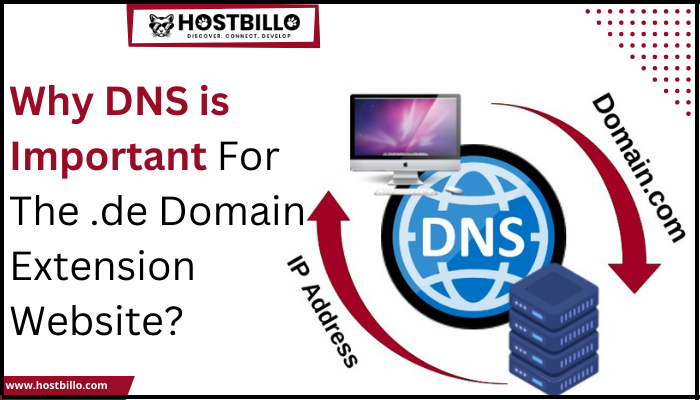 Why DNS is Important For the .de Domain Extension Website?