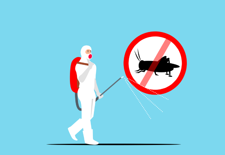 Five Simple Tips That Will Save You Time And Money While Calling A Pest Control Company