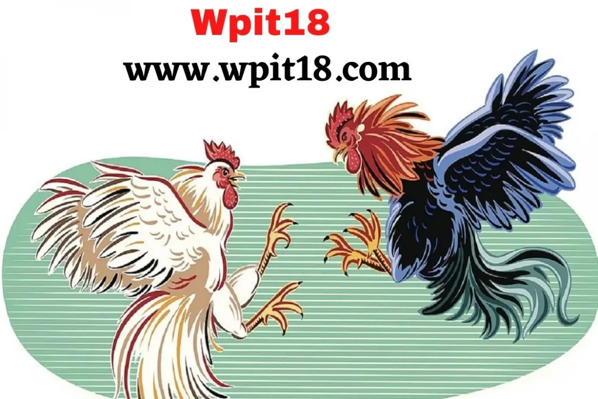 Wpit18: What is Wpit18? Dashboard And Its Benefits