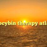 psilocybin therapy atlanta