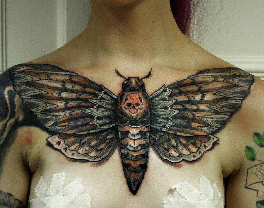 death head moth meaning