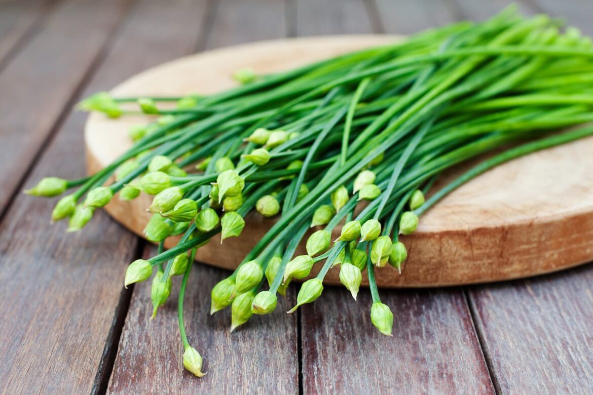 A Few Medical Advantages Can Be Gotten From Garlic Chives