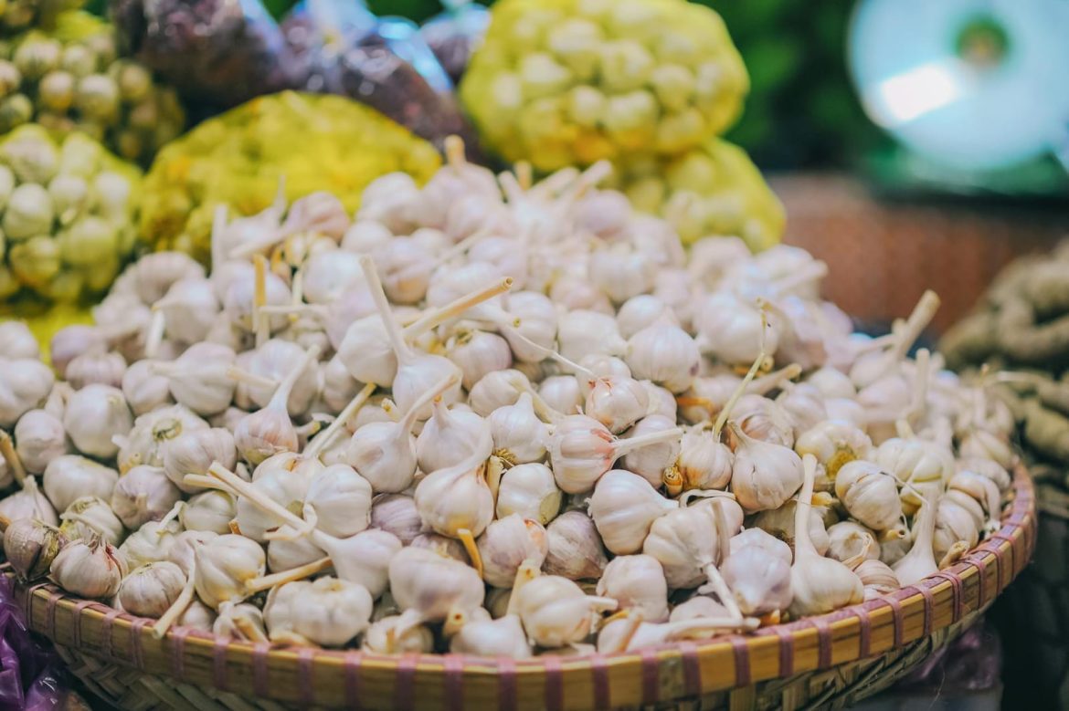 Preserving the Pungency: Expert Tips on Storing Garlic for Longevity