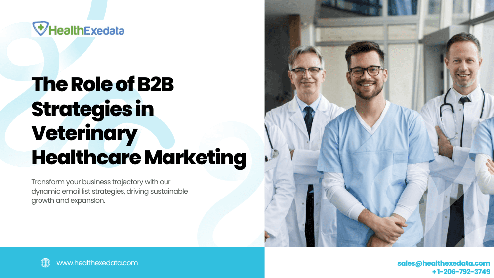 Innovation in Healthcare Marketing: B2B Trends for Veterinarian Practices