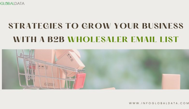 Strategies to Grow Your Business with a B2B Wholesaler Email List by InfoGlobalData